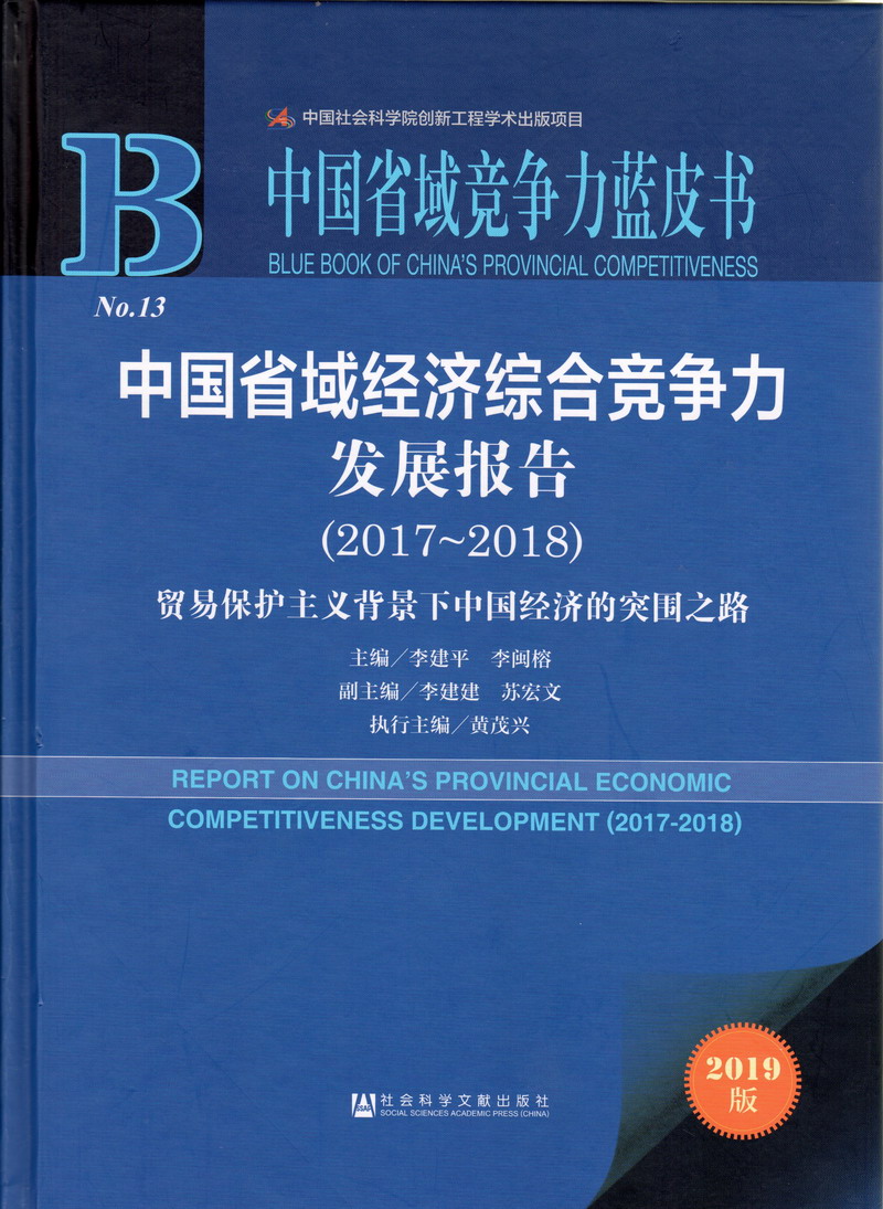 内射骚逼女人网站中国省域经济综合竞争力发展报告（2017-2018）